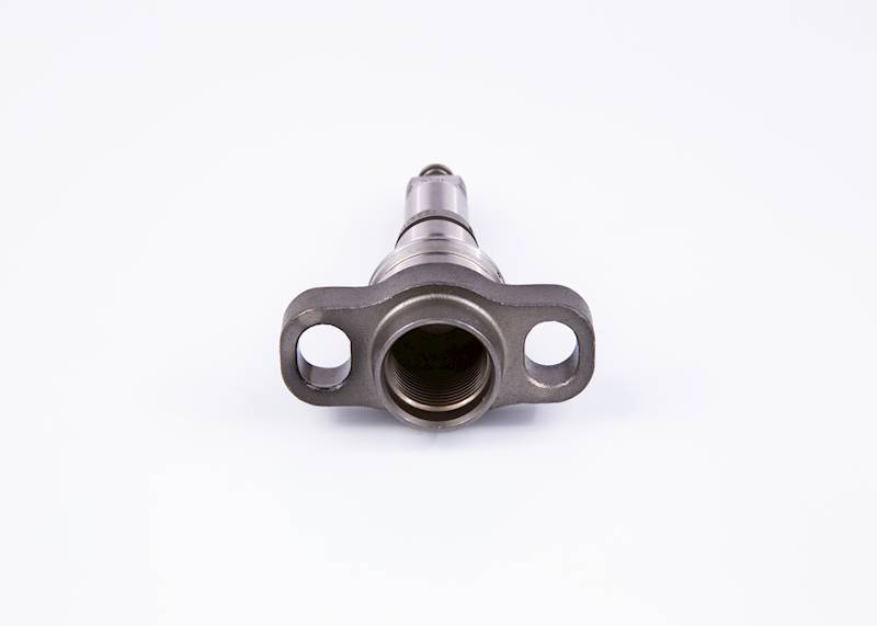 Element pompy Bosch 2418455165