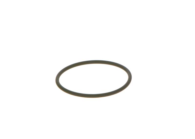 O-ring Bosch F00N202130