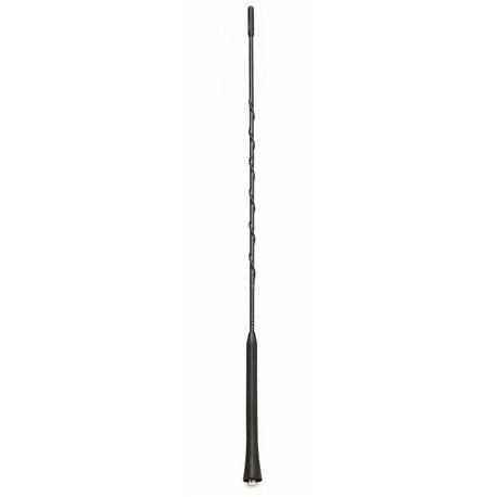 BAT do ant PRESIDENT VIRGINIA