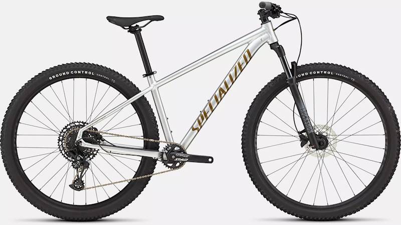 SPECIALIZED ROCKHOPPER EXPERT SILVER DUST XL