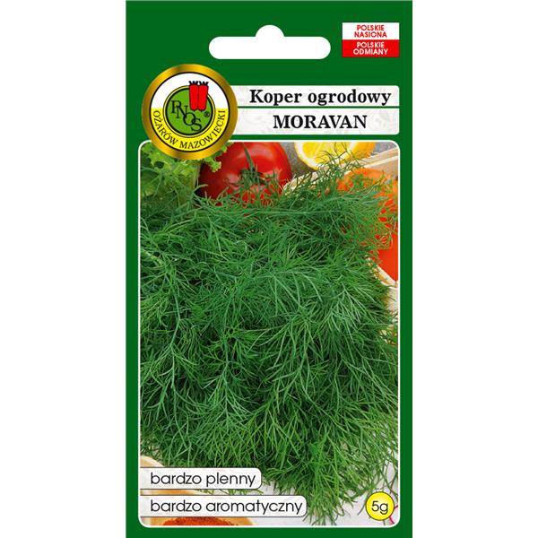 KOPER MORAVAN  5G