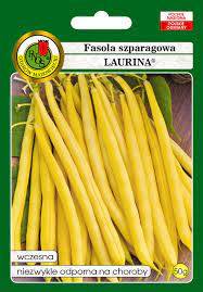 FASOLA SZPARAGOWA  50G ŻÓŁTA LAURINA