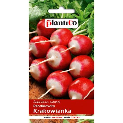 RZODKIEWKA KRAKOWIANKA 10G