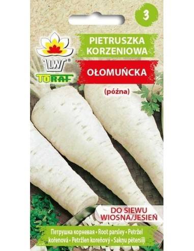 PIETRUSZKA KORZENIOWA OŁOMOUCKA 5G