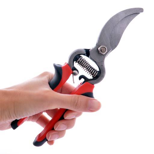 SEKATOR OGRODOWY 200 KT-RG1008