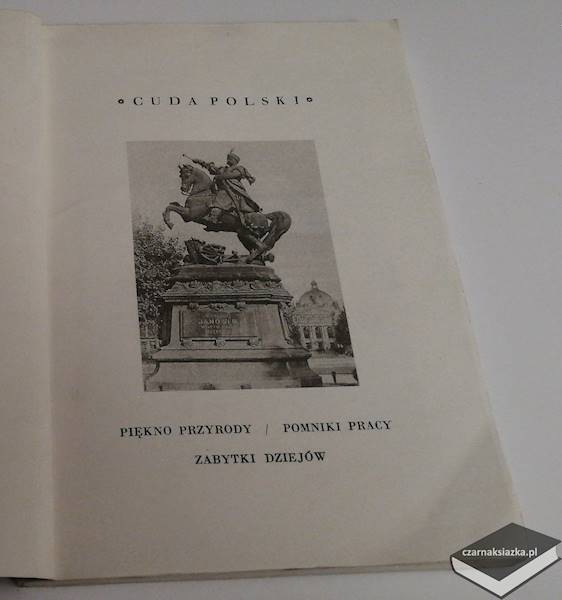 Lwów. Cuda Polski - Stanisław Wasylewski