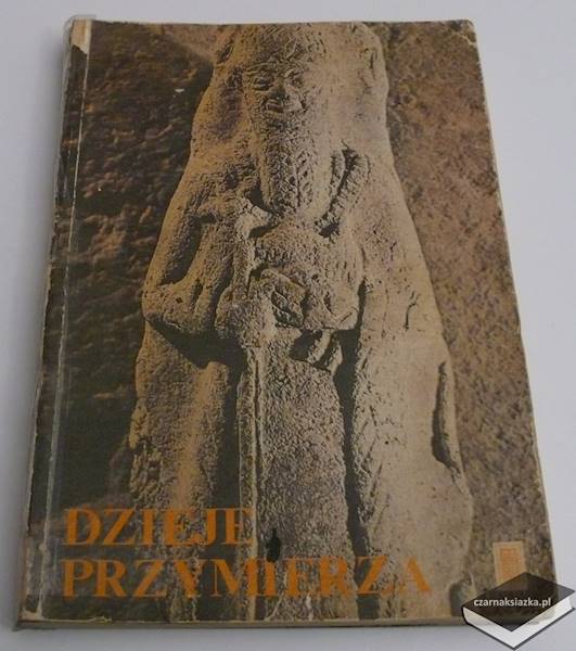 Dzieje przymierza Biblia dla młodzieży 