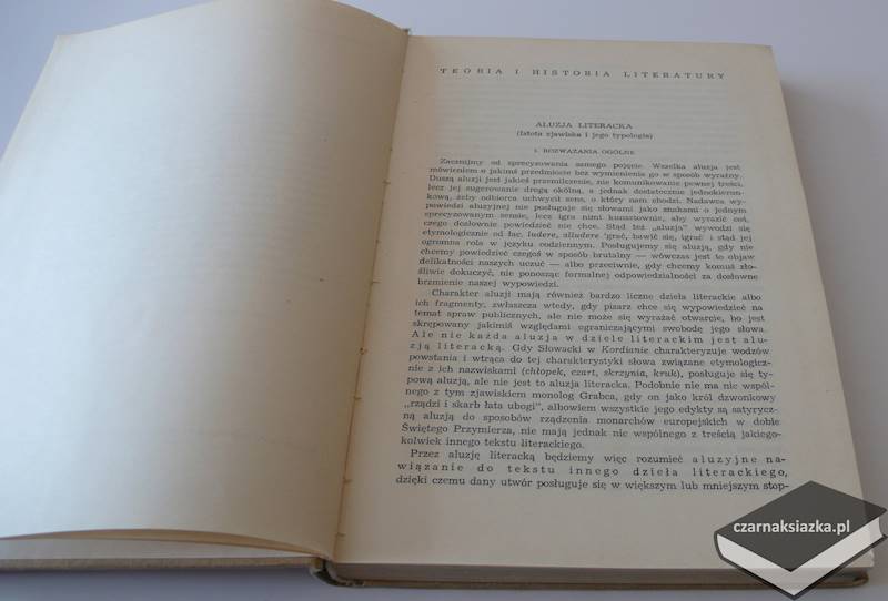 Z historii i teorii literatury - Konrad Górski