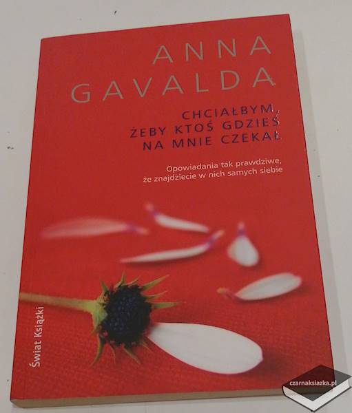 Chciałbym, żeby ktoś gdzieś na mnie czekał - Anna Gavalda