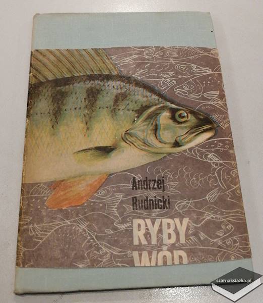 Ryby wód polskich - Andrzej Rudnicki