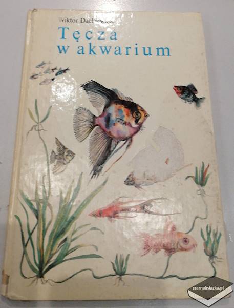 Tęcza w akwarium - Wiktor Dackiewicz