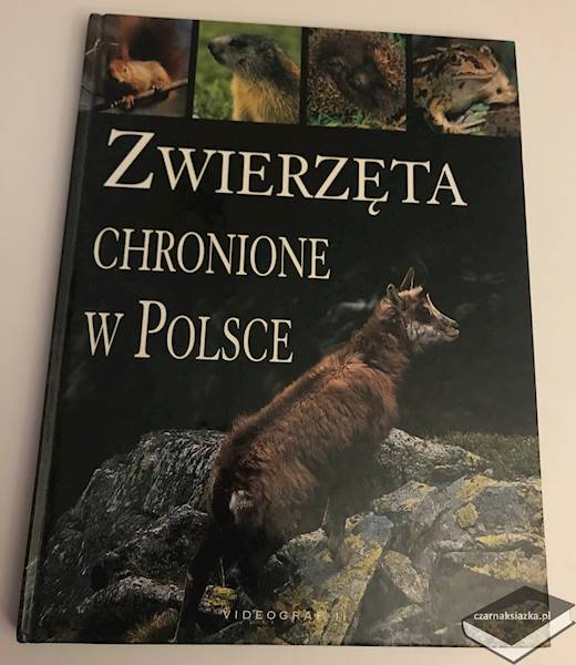 Zwierzęta chronione w Polsce - Bilińska Agnieszka, Biliński Włodek