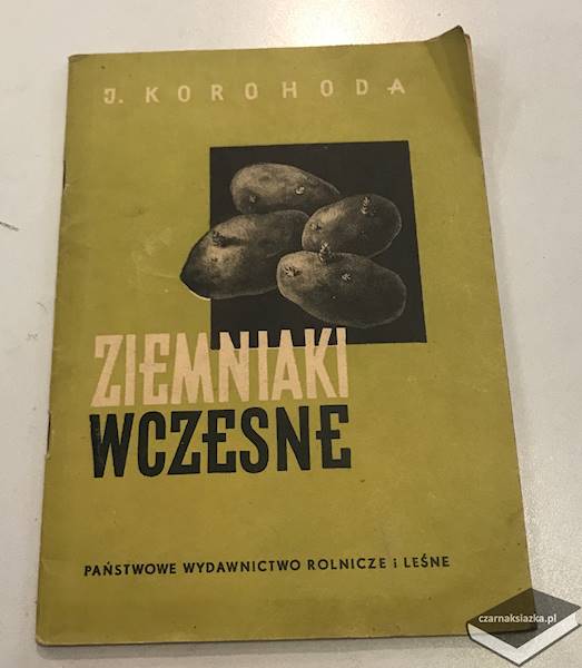  Ziemniaki wczesne - J.Korohoda