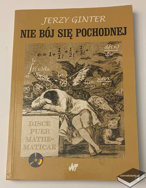 Nie bój się pochodnej - Jerzy Ginter