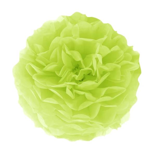 Pompon z bibuły 25cm zielony 511743