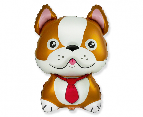 Balon foliowy pies buldog