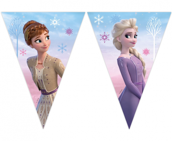 Banner Flagi Frozen 2,3 m 