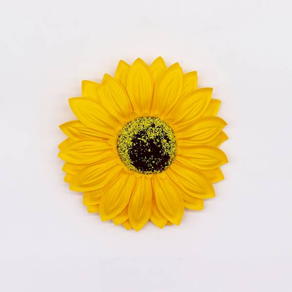 Słonecznik mydlany duży 9szt