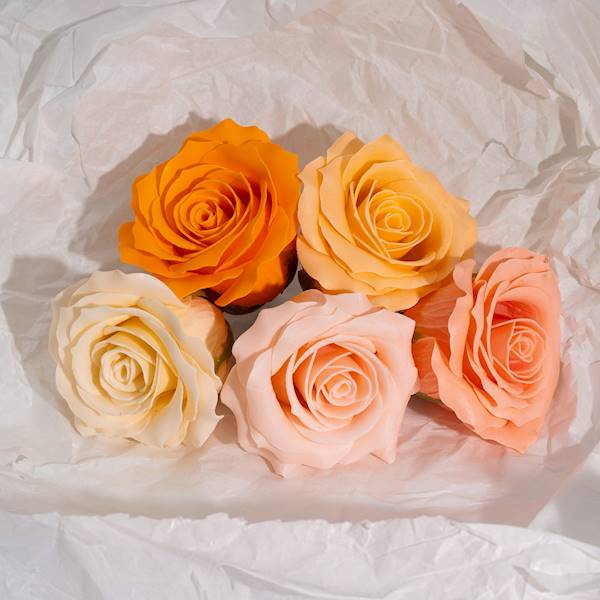 Róża mydlana romantyczna 5 warstwowa miks 5 kolorów