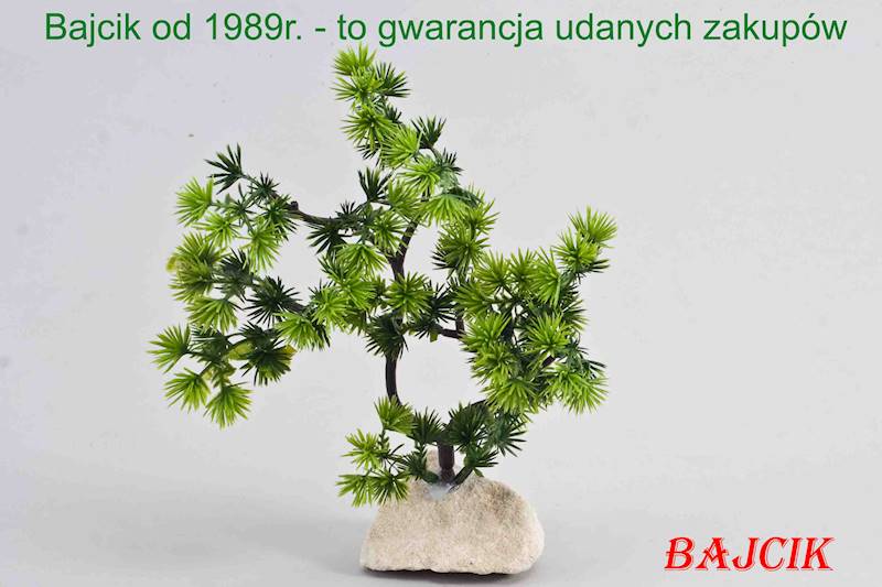 BONSAI ROŚLINA NA SKALE L 