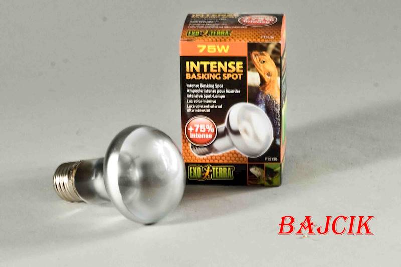 ŻARÓWKA SUN GLO TIGHT BEAM S20/75 PT-2136