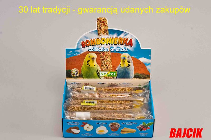 NESTOR BOMBONIERKA PAPUGA MAŁA