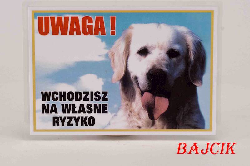 TABLICZKA GOLDEN RETRIEVER