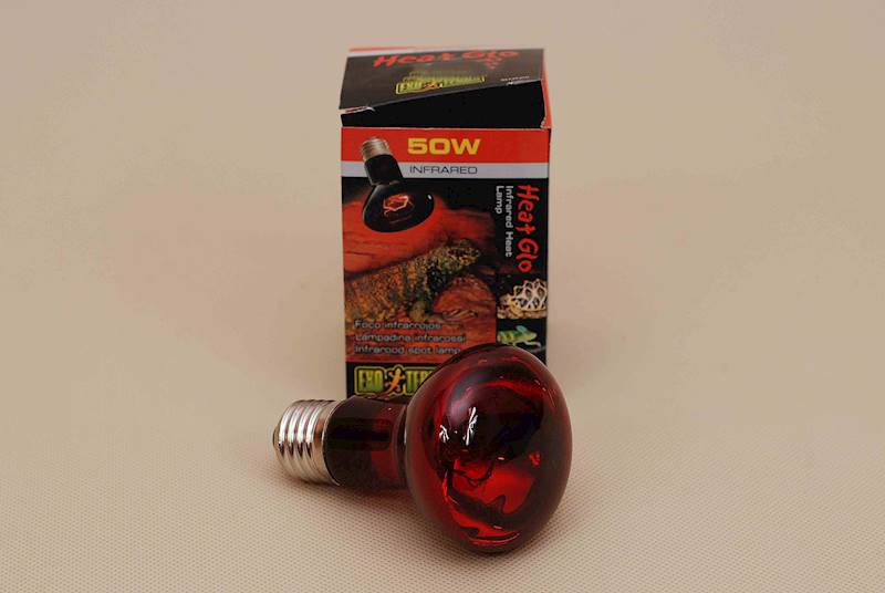 ŻARÓWKA HEAT GLO TERR. R20/50W PT-2141
