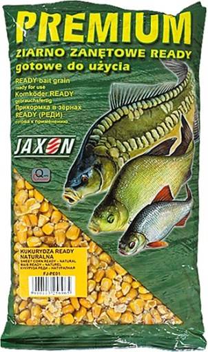 ZIARNO PREMIUM READY 1kg MIX2 FJ-PE09