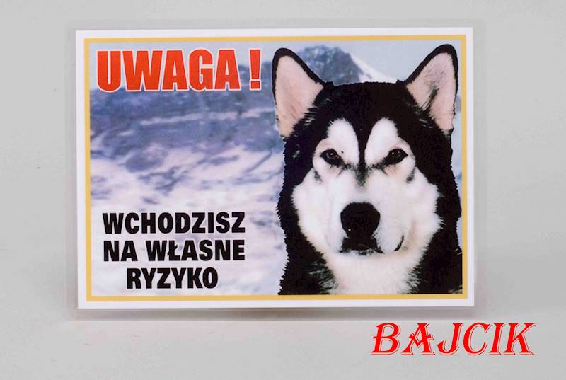 TABLICZKA HUSKY TAB4
