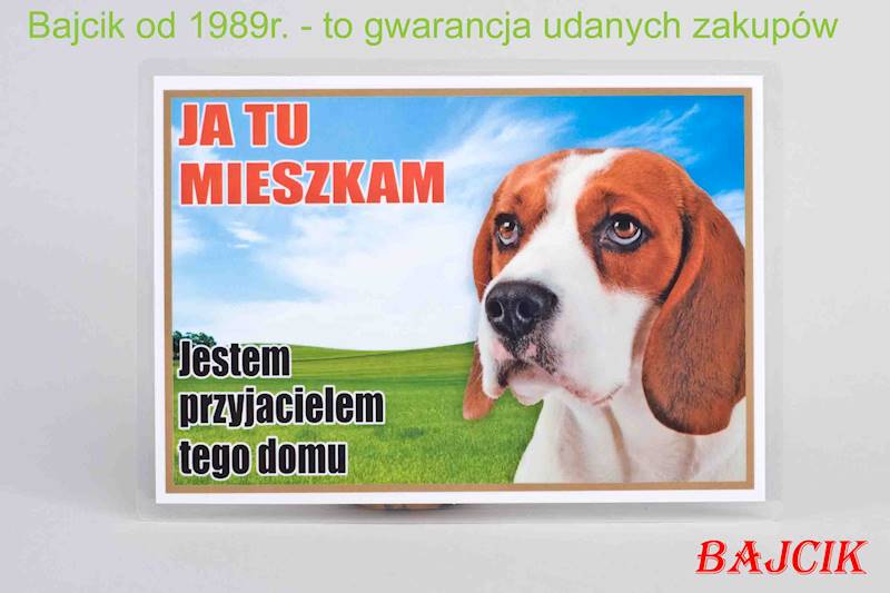 TABLICZKA BEAGLE TAB17
