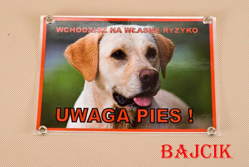 TABLICZKA LABRADOR TAB10