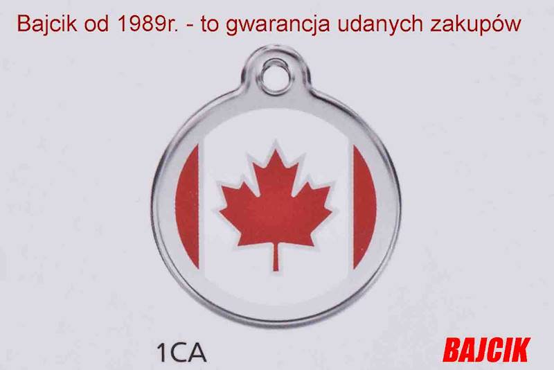 ZAWIESZKA 1CA