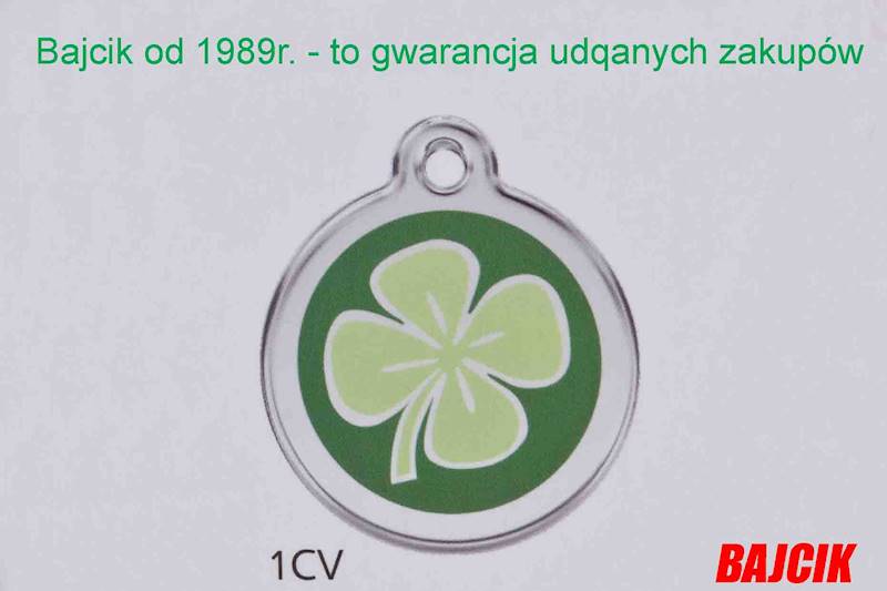 ZAWIESZKA 1CV