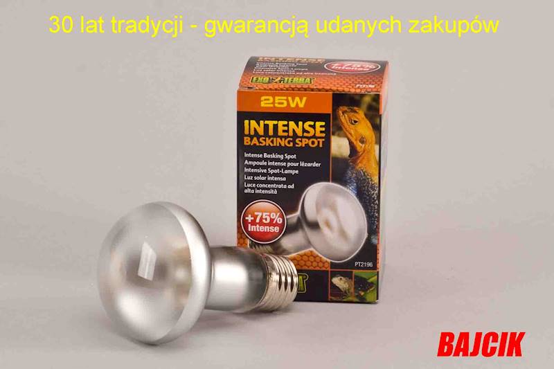 ŻARÓWKA EKO TERRA  INTENSE 25W PT-2196