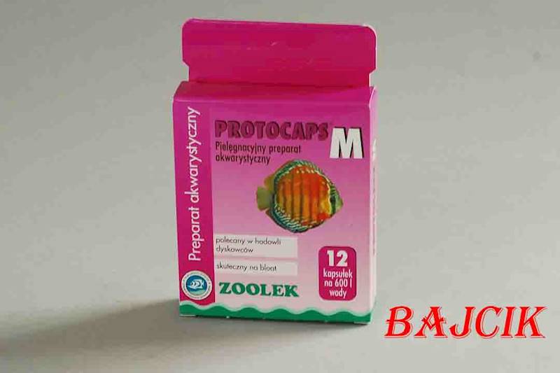 PROTOCAPS M 12 kapsułek