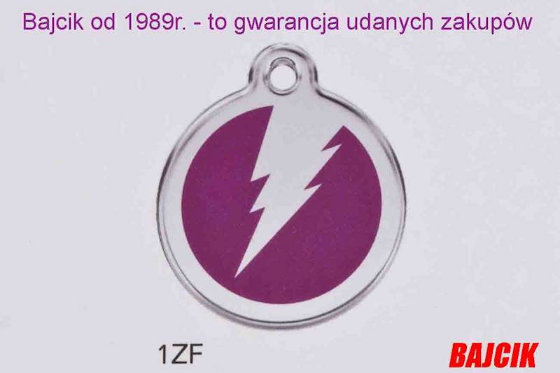 ZAWIESZKA 1ZF