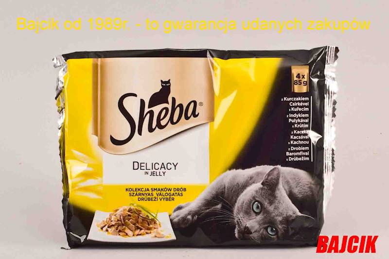 SHEBA 85g3+1 DEL.KU/IN/KACZ/DRÓ/GA MS283348