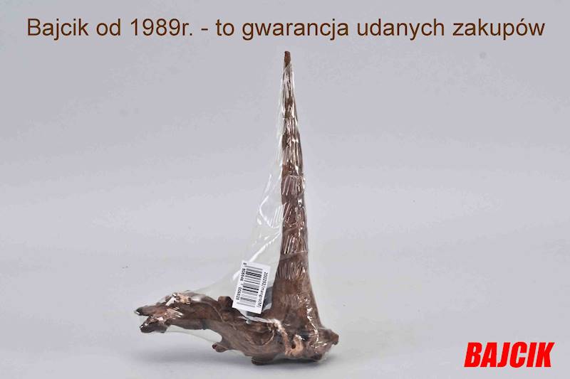 KORZEŃ MANGROWCA M    200292