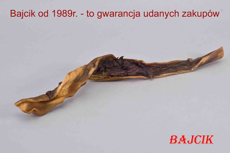 MACED SKÓRA Z DZIKA 45CM