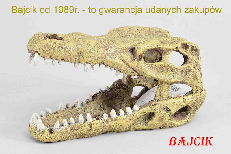 CZASZKA KROKODYLA 234-426517