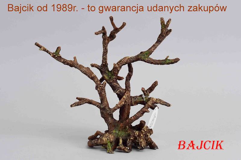 KORZEŃ BONSAI 234-424094