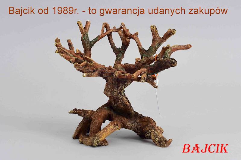 KORZEŃ BONSAI 234-423523
