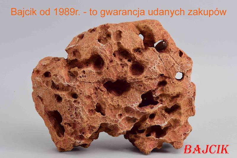 SKAŁA COLORADO 2      234-421987