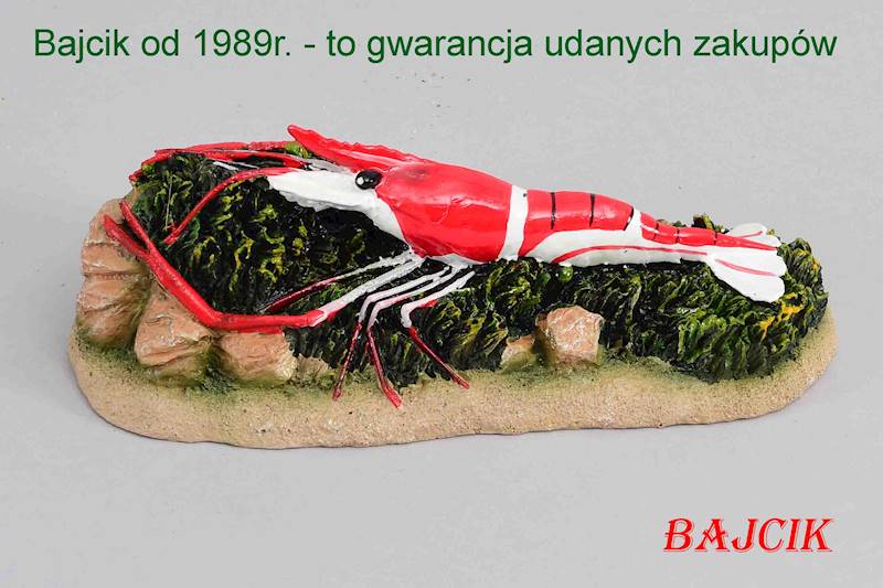 CZERWONA KREWETKA      234-418659