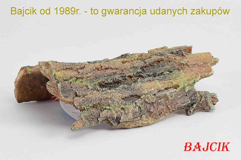 STARA KORA      234-406724