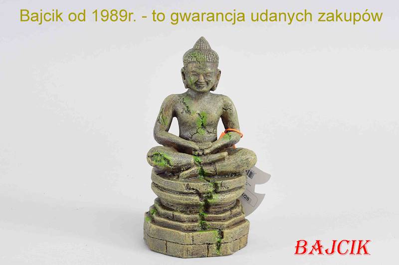 BUDDA Z BAJON JASNY      234-194812