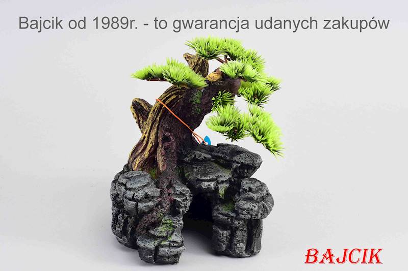 DRZEWO BONSAI 18cm      234-105337