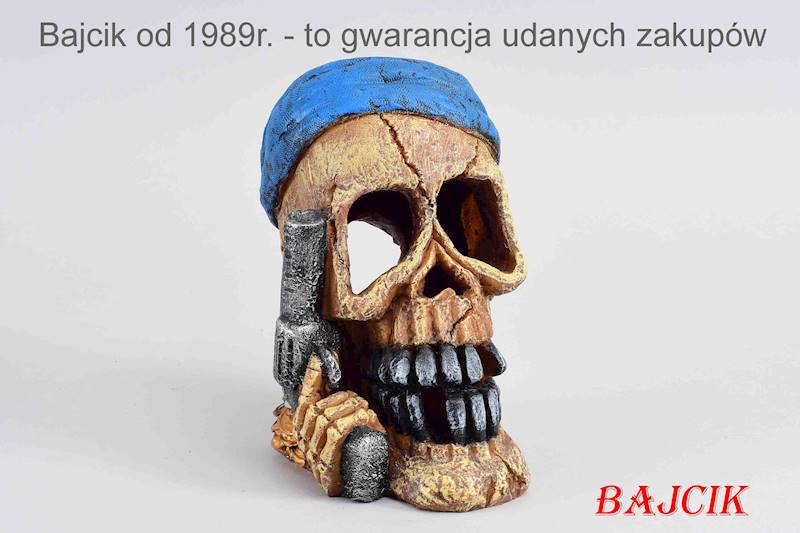 CZASZKA W RĘCE PISTOLET 234-430118