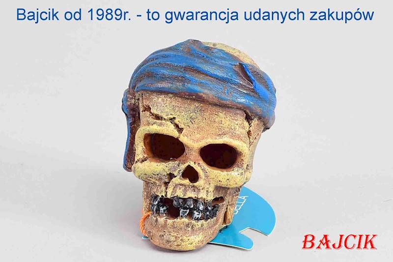 CZASZKA PRZEPASKA NIEBIESKA      234-430101